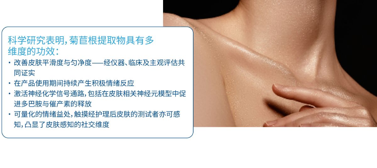 Chicory_CN_2026.jpg