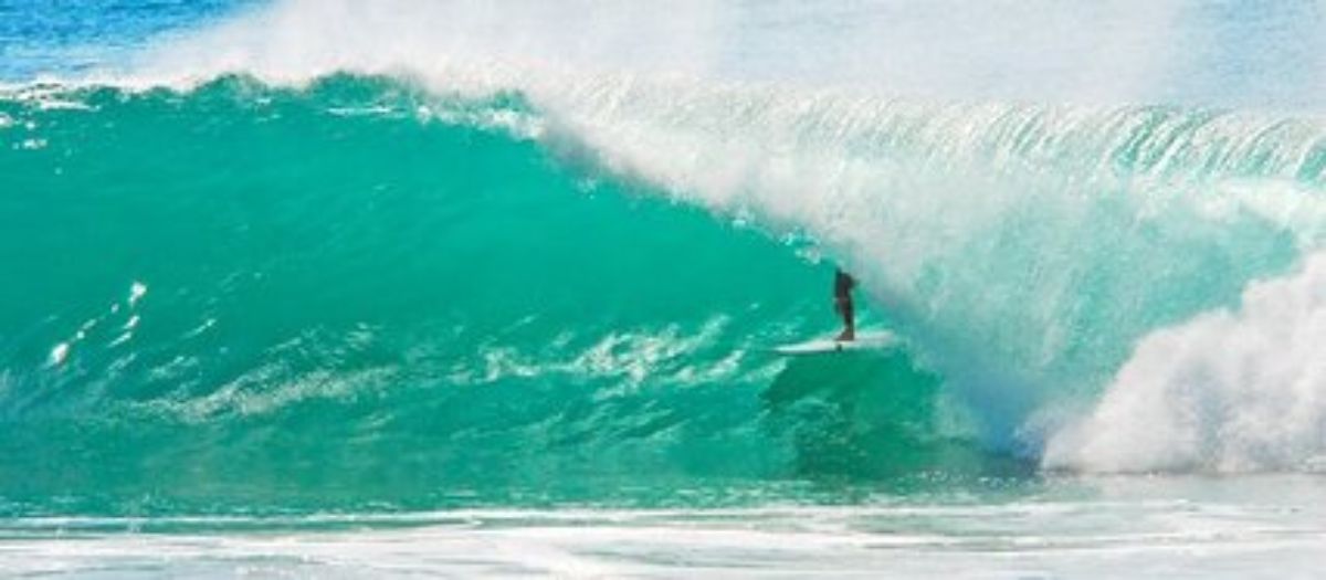 Webinar_catch-a-wave_Kachel.jpg