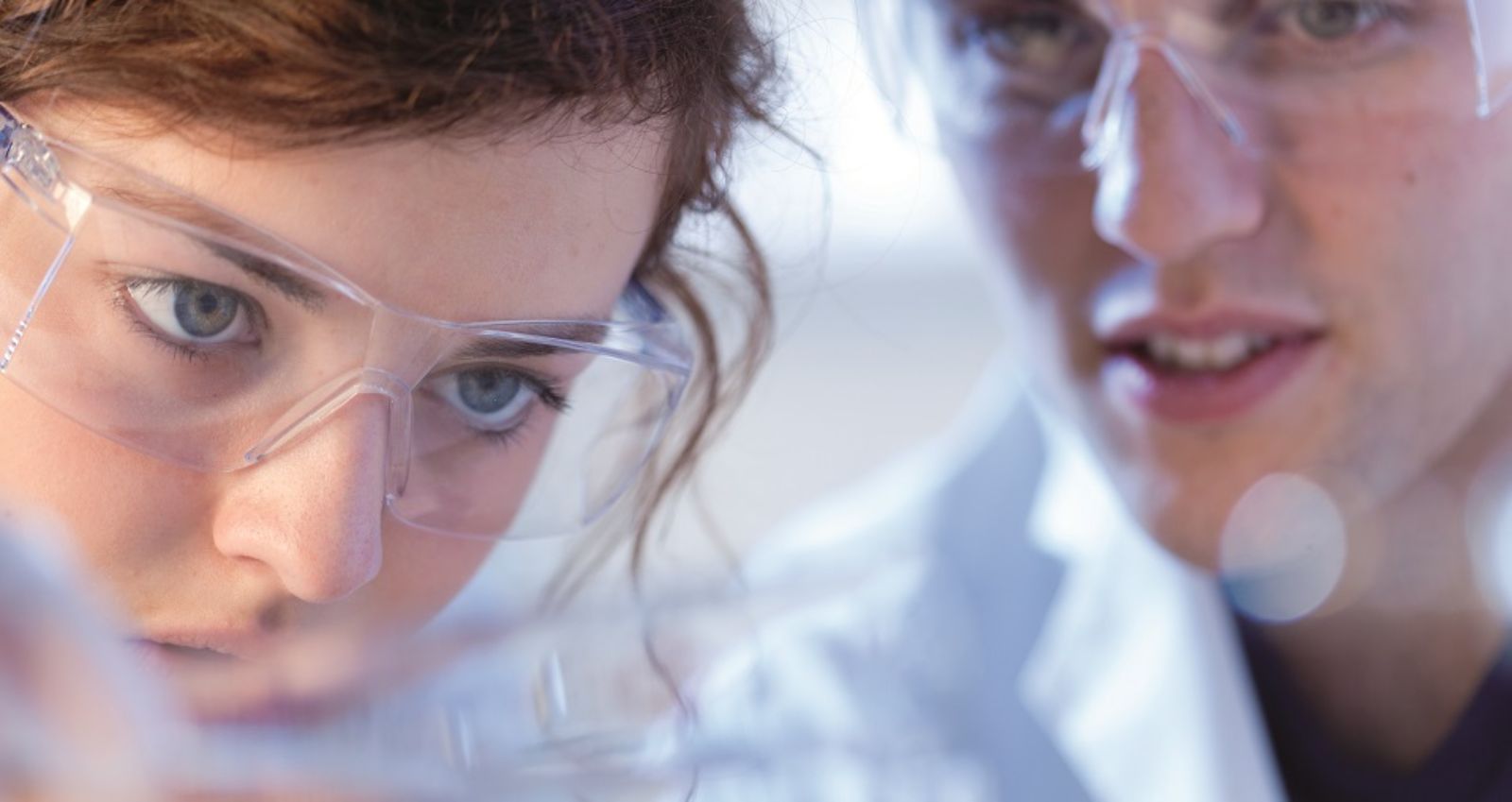 Lab-Couple_Header.jpg